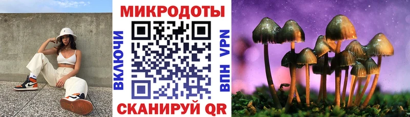 закладки  Ревда  Галлюциногенные грибы мицелий 